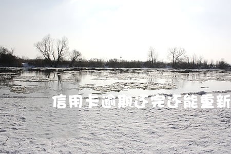 信用卡逾期还完还能重新使用吗 信用卡逾期还完还能重新使用吗