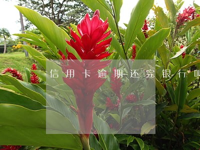 信用卡逾期还完银行叫面签