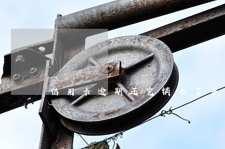 信用卡逾期还完销卡了多久清零 信用卡逾期还完销卡了多久清零