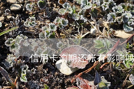 信用卡逾期还帐有影响吗 信用卡逾期还帐有影响吗