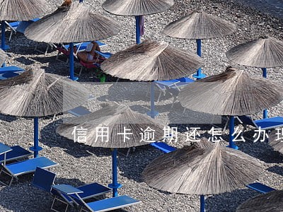 信用卡逾期还怎么办理吗