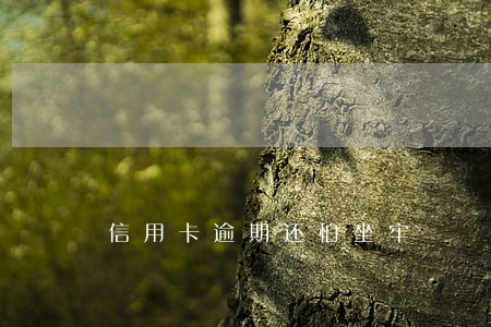 信用卡逾期还怕坐牢 信用卡逾期还怕坐牢