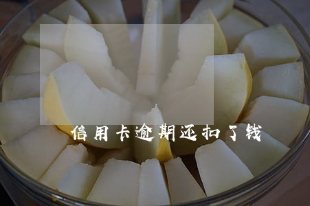 信用卡逾期还扣了钱
