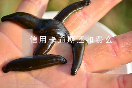 信用卡逾期还扣费么 信用卡逾期还扣费么