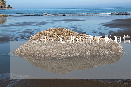 信用卡逾期还掉了影响信誉吗 信用卡逾期还掉了影响信誉吗