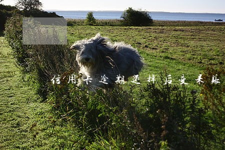 信用卡逾期还掉后变呆账 信用卡逾期还掉后变呆账