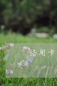 信用卡逾期还提额度 信用卡逾期还提额度