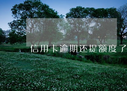 信用卡逾期还提额度了 信用卡逾期还提额度了