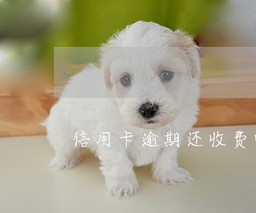 信用卡逾期还收费呢