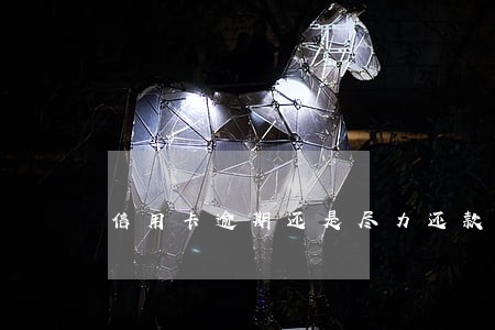 信用卡逾期还是尽力还款