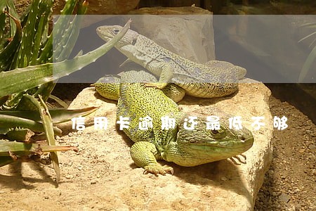 信用卡逾期还最低不够