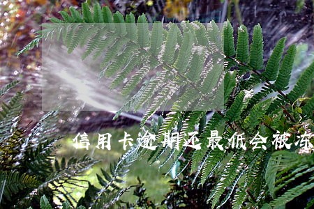 信用卡逾期还最低会被冻结吗 信用卡逾期还最低会被冻结吗