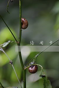 信用卡逾期还最低划算吗 信用卡逾期还最低划算吗