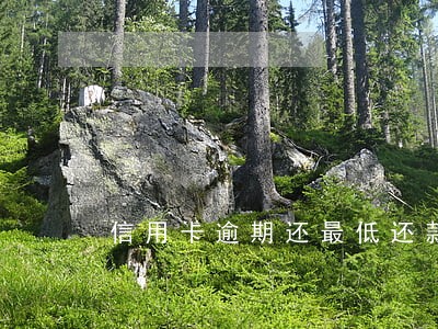 信用卡逾期还最低还款能