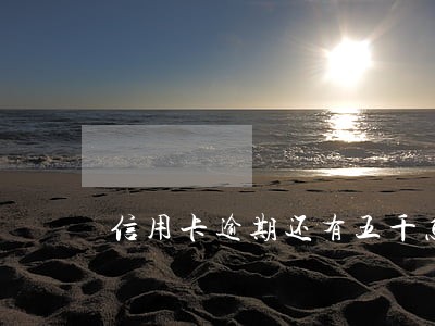 信用卡逾期还有五千怎么样