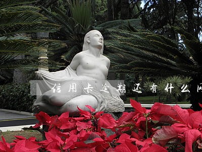 信用卡逾期还有什么网贷可以借钱 信用卡逾期还有什么网贷可以借钱