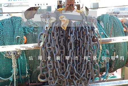 信用卡逾期还有免息期吗 信用卡逾期还有免息期吗
