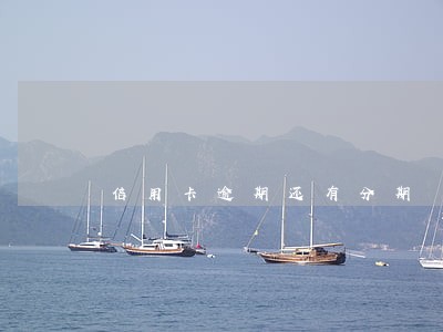 信用卡逾期还有分期 信用卡逾期还有分期