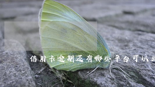 信用卡逾期还有哪些平台可以出款 信用卡逾期还有哪些平台可以出款