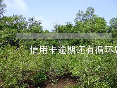 信用卡逾期还有循环息费吗 信用卡逾期还有循环息费吗