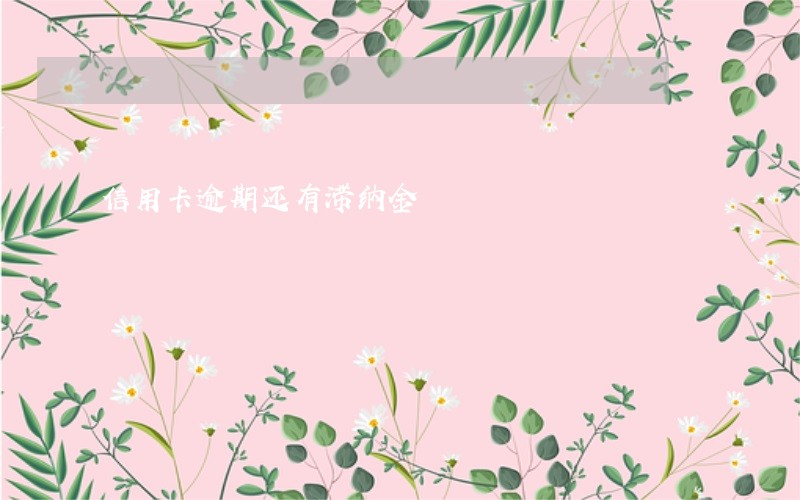 信用卡逾期还有滞纳金 信用卡逾期还有滞纳金