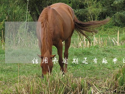 信用卡逾期还有账单日