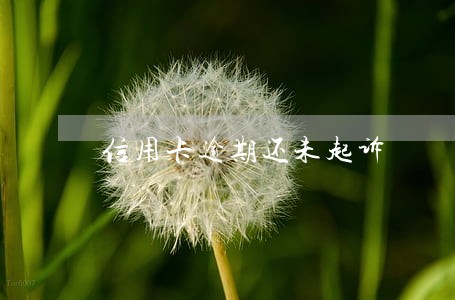 信用卡逾期还未起诉 信用卡逾期还未起诉