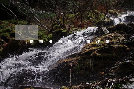 信用卡逾期还未还清 信用卡逾期还未还清