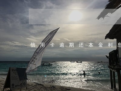 信用卡逾期还本金利息可以免除 信用卡逾期还本金利息可以免除
