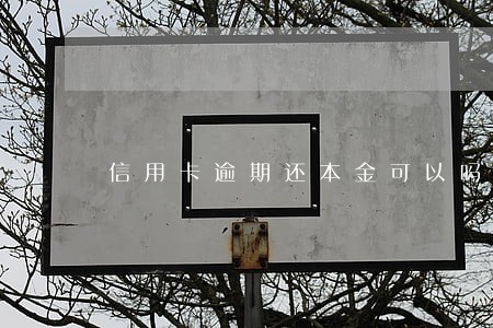 信用卡逾期还本金可以吗