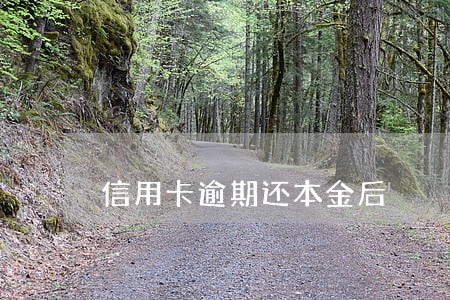 信用卡逾期还本金后