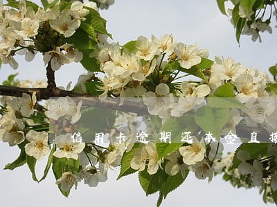 信用卡逾期还本金直接消户 信用卡逾期还本金直接消户