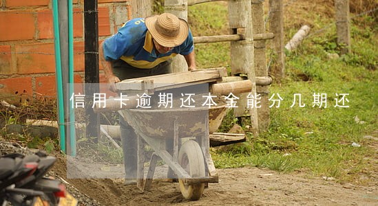 信用卡逾期还本金能分几期还 信用卡逾期还本金能分几期还