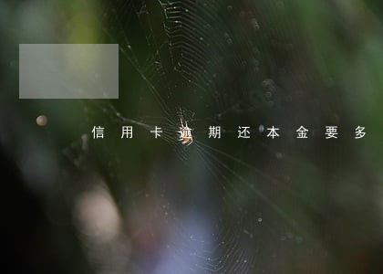信用卡逾期还本金要多久销卡 信用卡逾期还本金要多久销卡