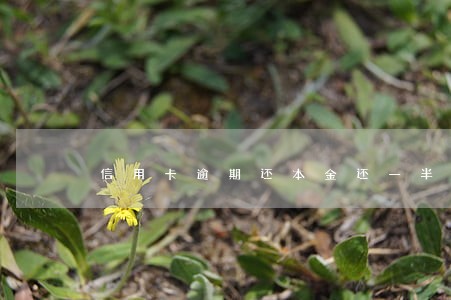 信用卡逾期还本金还一半 信用卡逾期还本金还一半