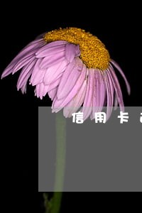 信用卡逾期还款10天
