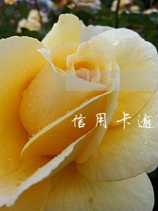 信用卡逾期还款1天影响征信吗