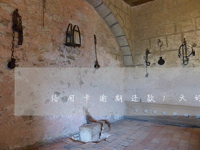 信用卡逾期还款1天的滞纳金