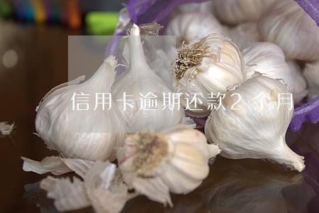 信用卡逾期还款2个月