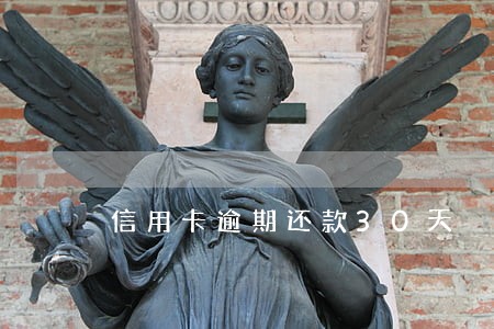 信用卡逾期还款30天
