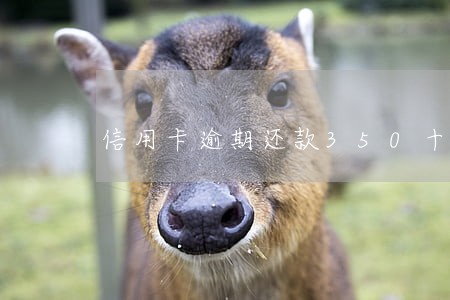 信用卡逾期还款350十天严重吗 信用卡逾期还款350十天严重吗