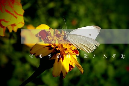 信用卡逾期还款3天有影响吗 信用卡逾期还款3天有影响吗