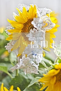 信用卡逾期还款4天后果严重 信用卡逾期还款4天后果严重