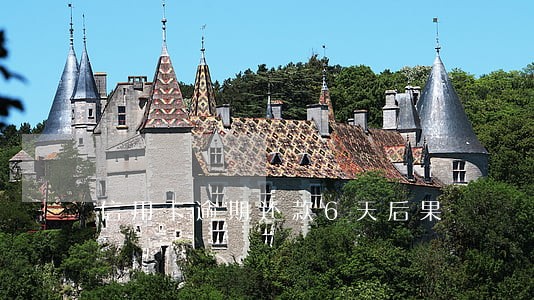 信用卡逾期还款6天后果 信用卡逾期还款6天后果