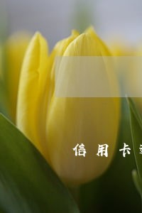 信用卡逾期还款700亿 信用卡逾期还款700亿