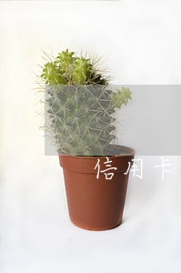信用卡逾期还款8天后果 信用卡逾期还款8天后果