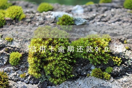 信用卡逾期还款90天 信用卡逾期还款90天