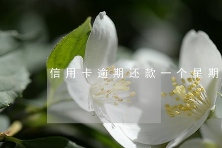 信用卡逾期还款一个星期 信用卡逾期还款一个星期