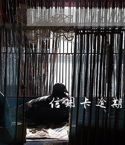 信用卡逾期还款一半后 信用卡逾期还款一半后