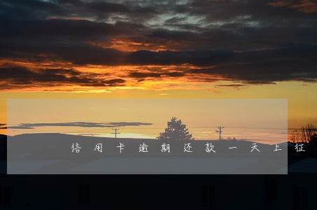 信用卡逾期还款一天上征信吗 信用卡逾期还款一天上征信吗